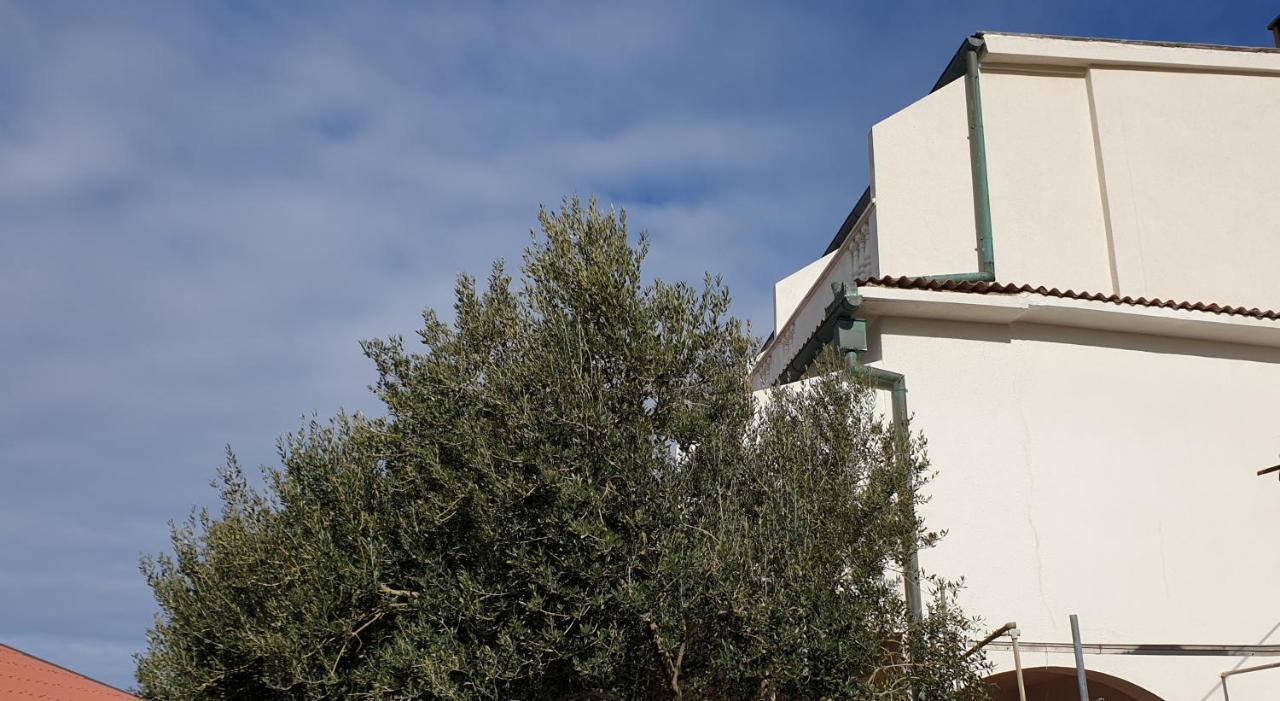 Bellavista Bed And Breakfast Pag Town Exterior photo